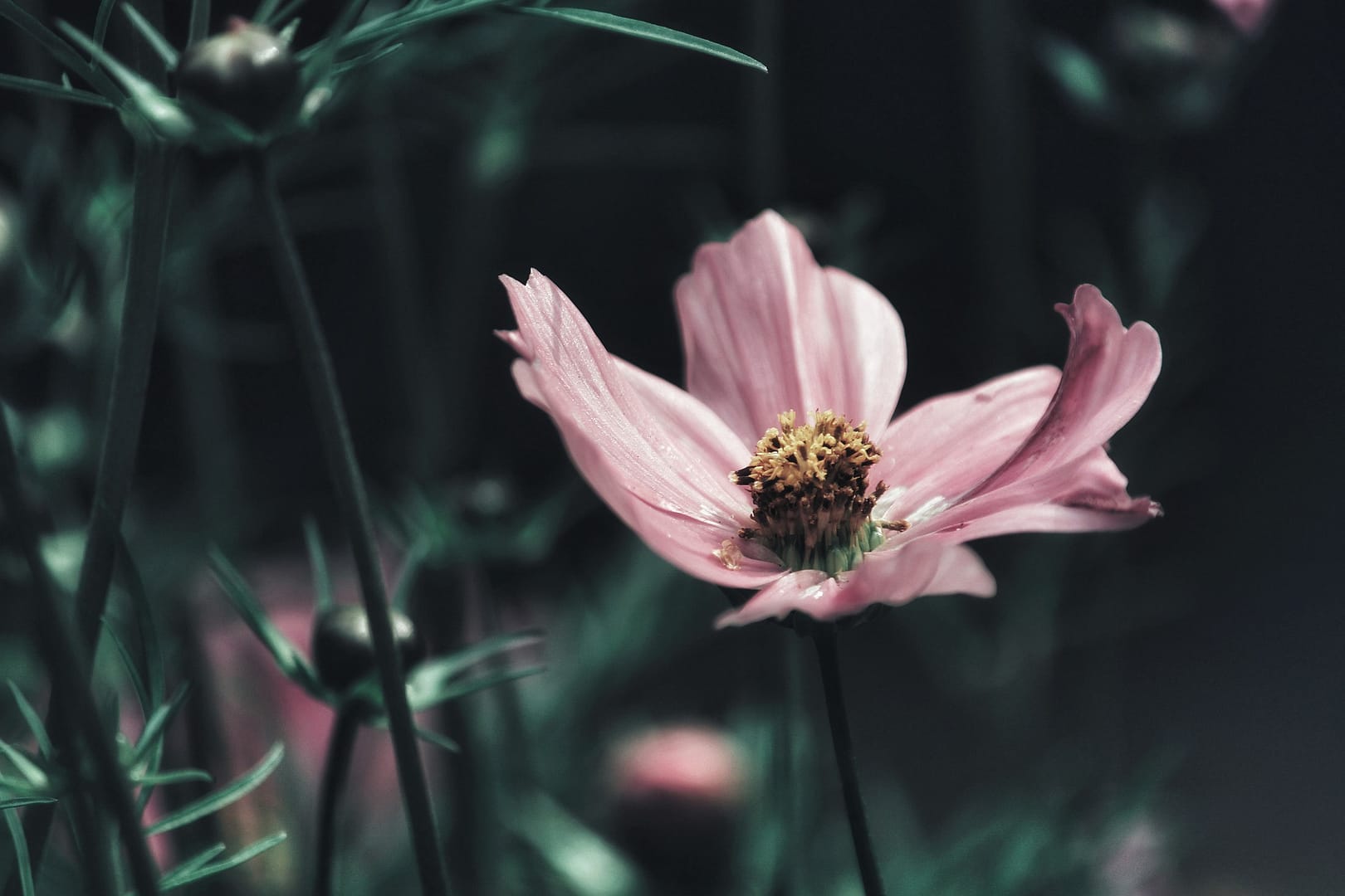 Meditation: Schatz bergen