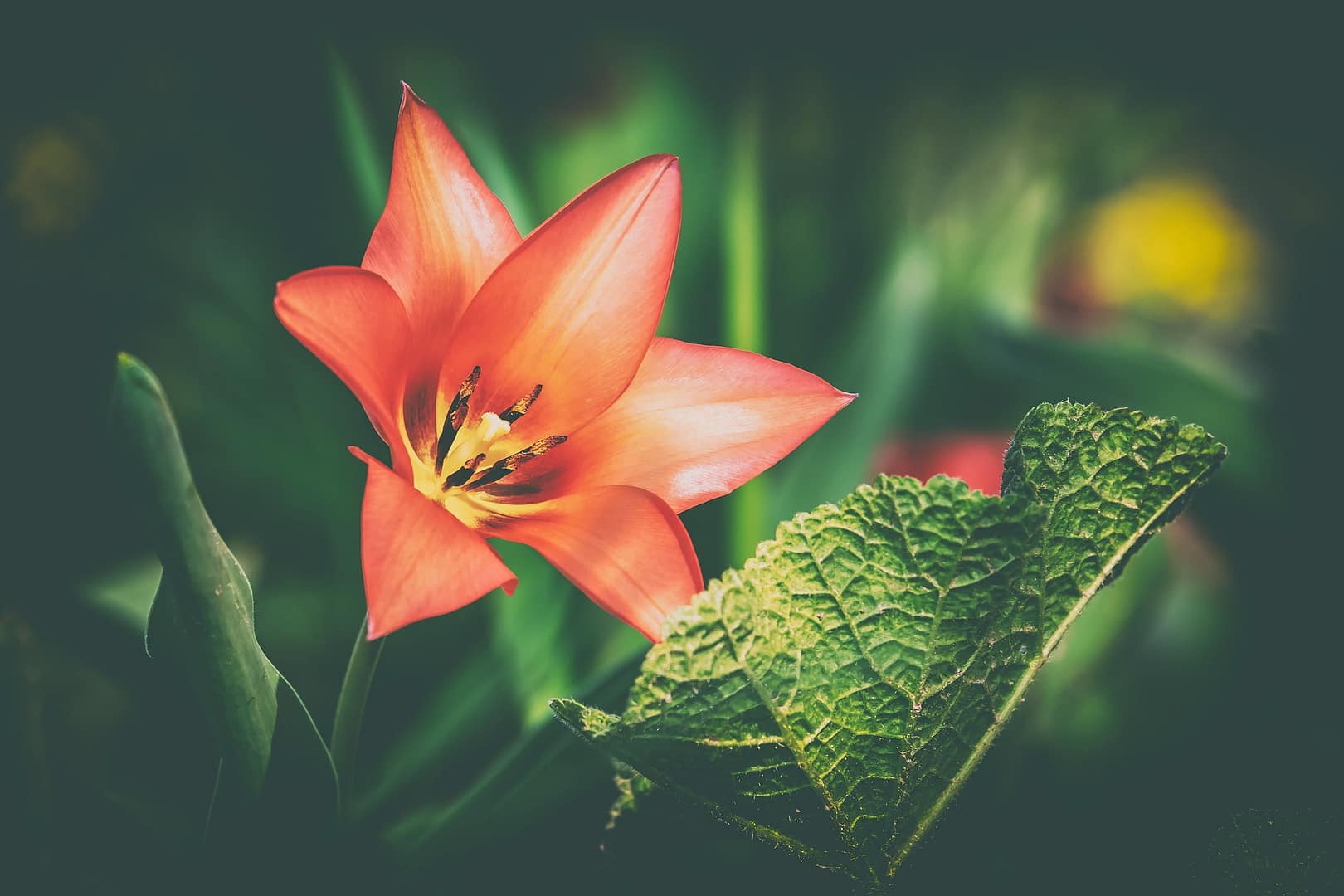 Meditation: Tempel der Stille