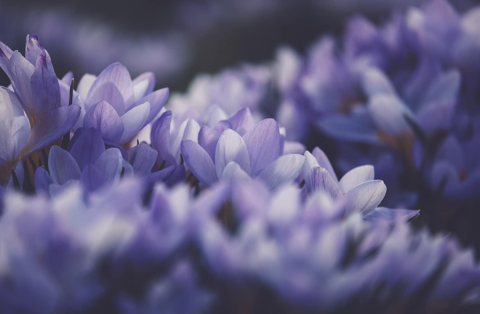 Meditation: Ruhe und Gelassenheit