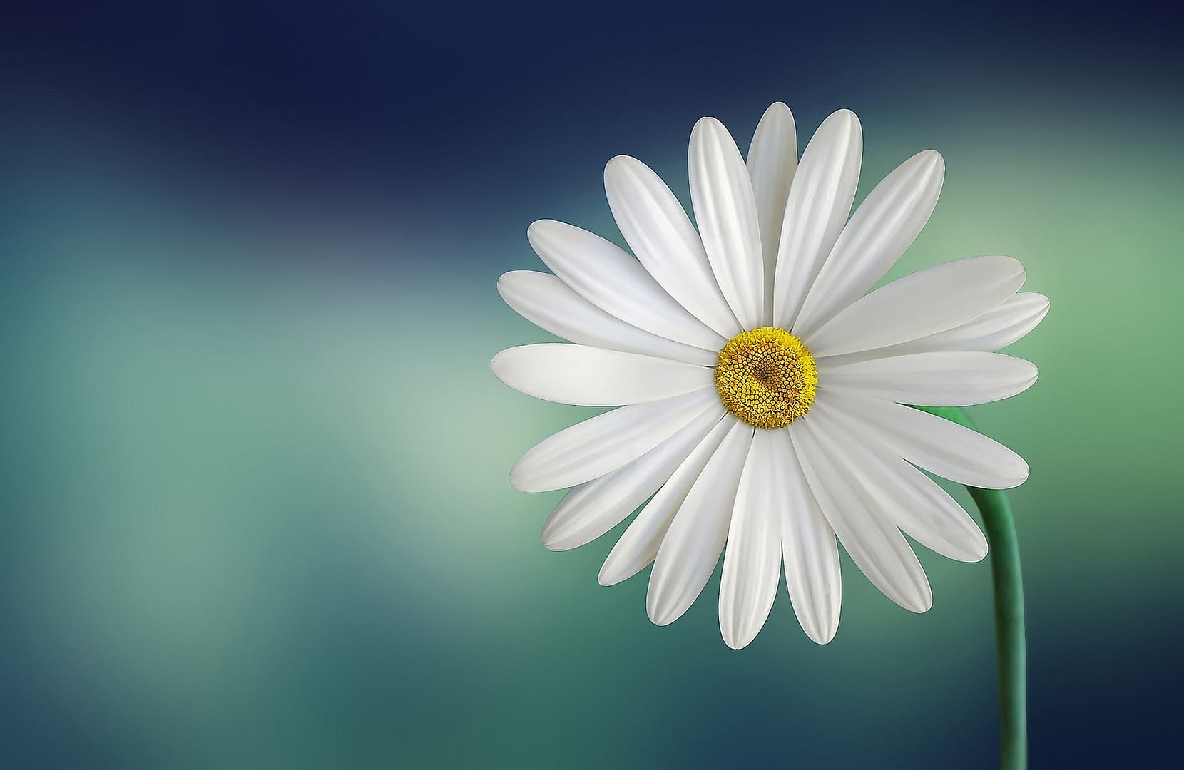 Meditation: Befreie dein inneres Kind