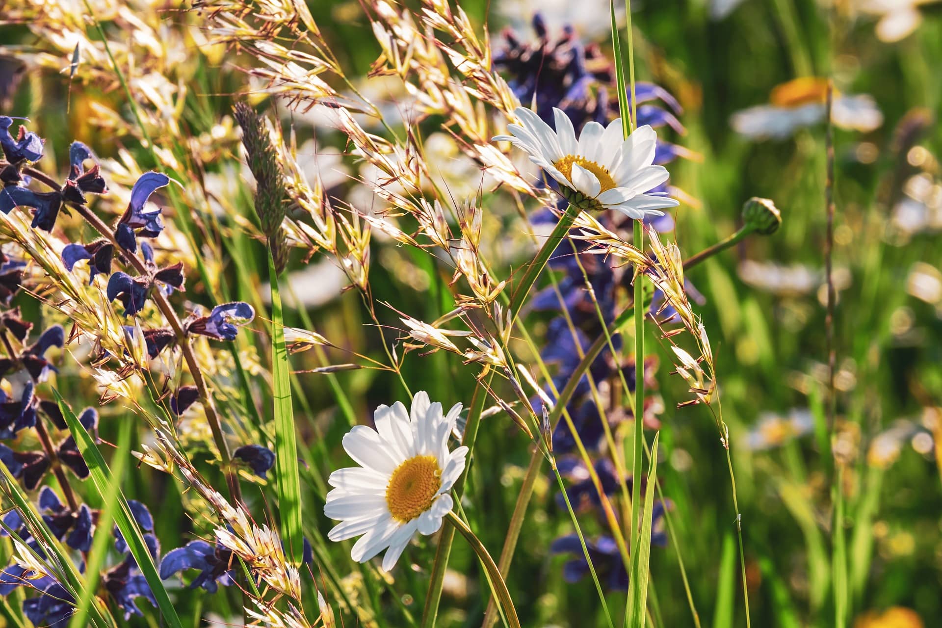 Meditation: Dein sicherer Ort