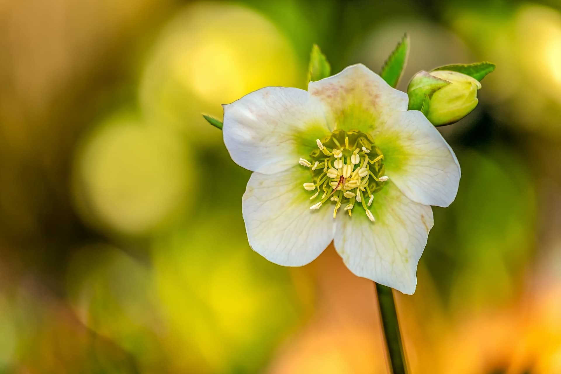 Meditation: Positive Affirmationen mit Thetafrequenz